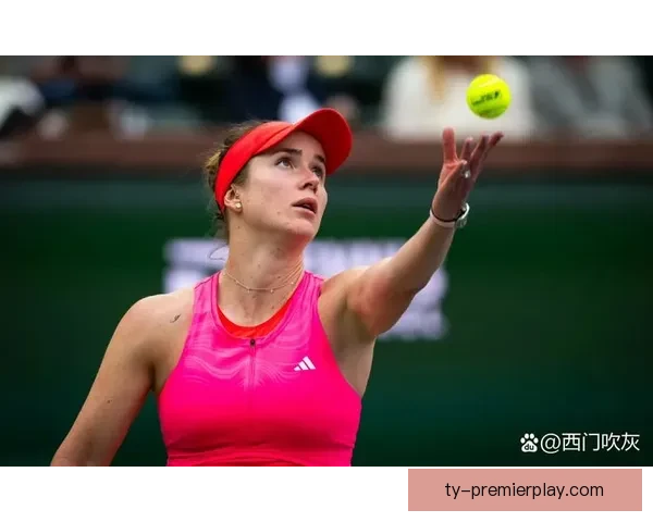 高芙被斯维托丽娜横扫止步四强